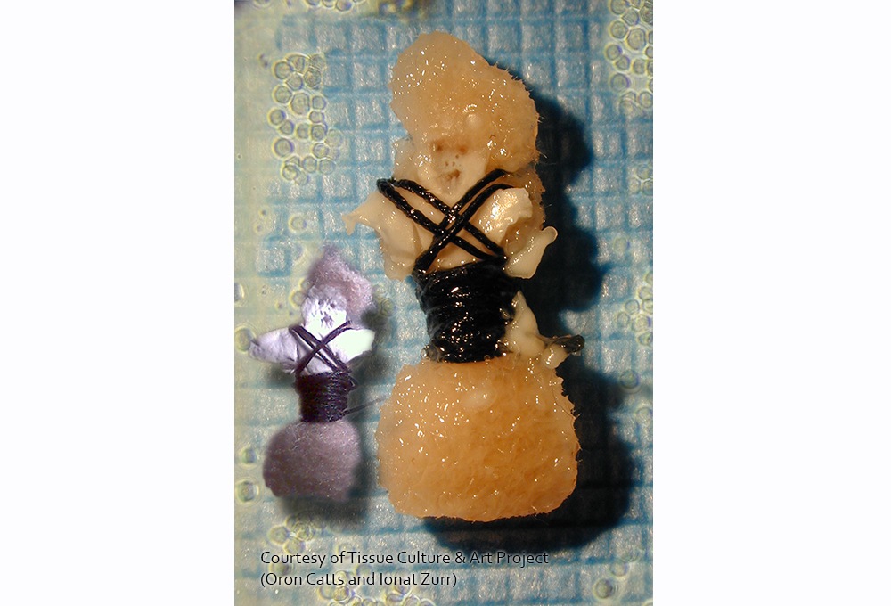 SEMI-LIVING WORRY DOLLS, TISSUE CULTURE AND ART PROJECT