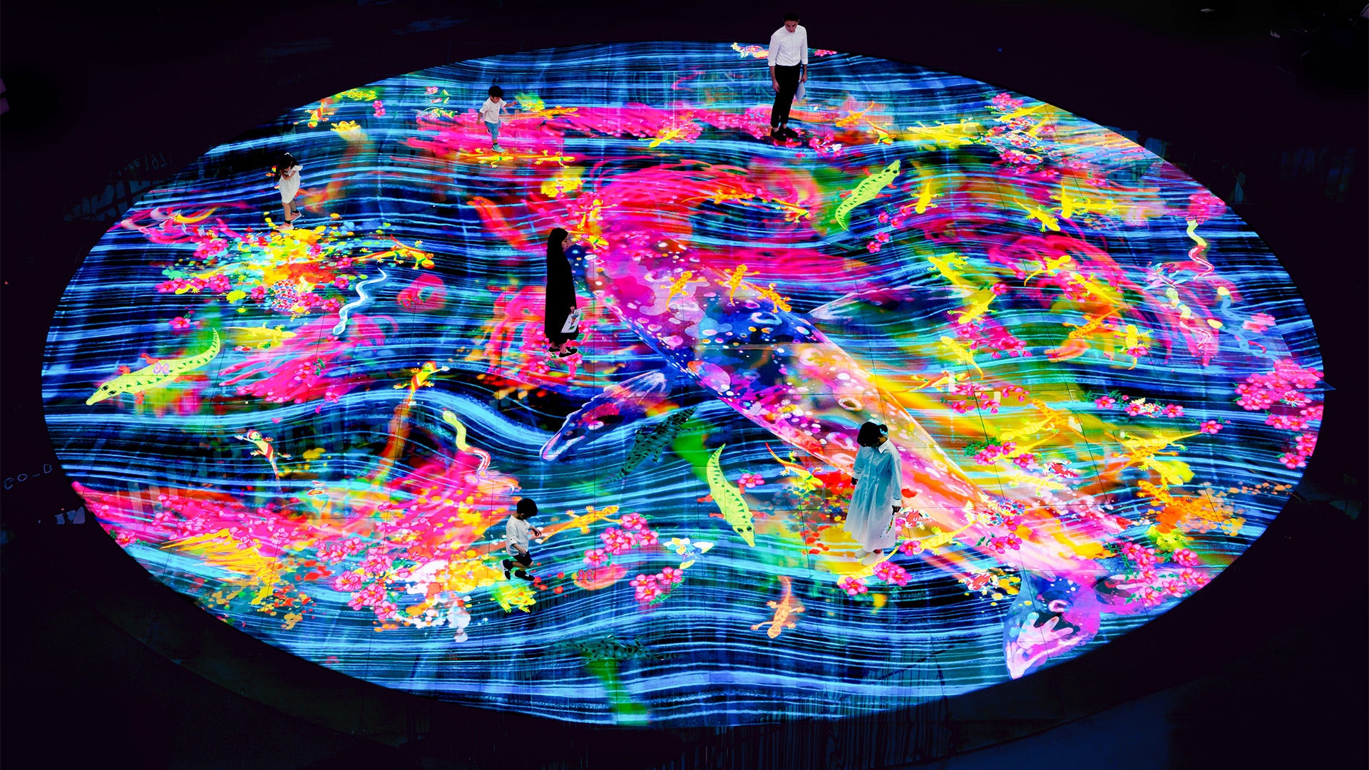 Digital Light Canvas