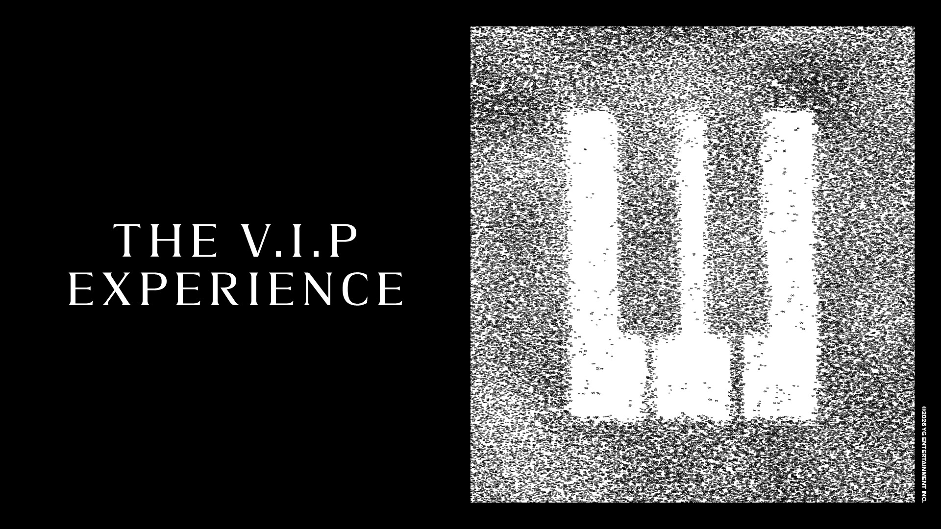 PENGALAMAN V.I.P