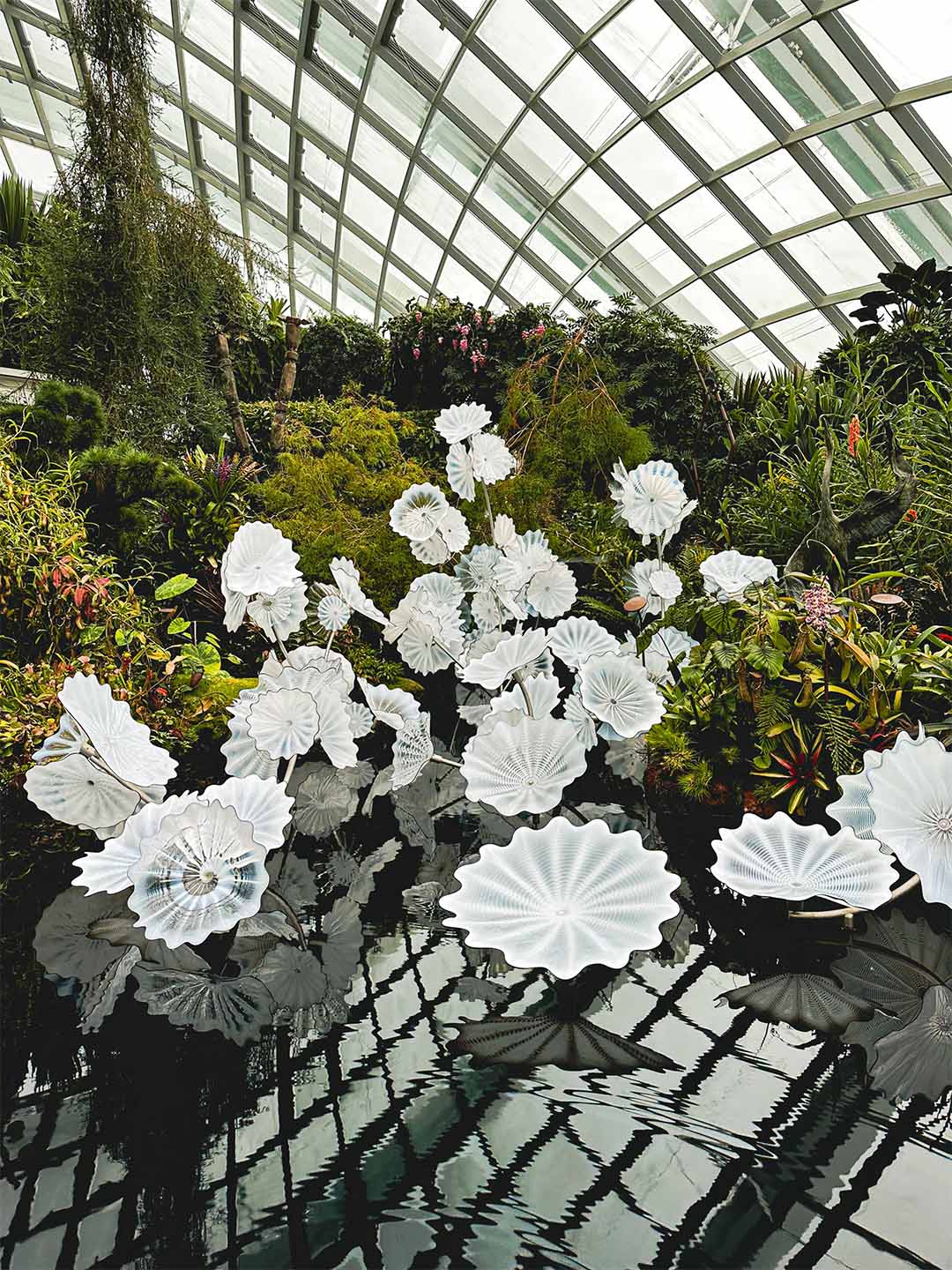 Bunga-bunga putih mengapung di kolam di Gardens by the Bay, berlokasi di dekat Marina Bay Sands
