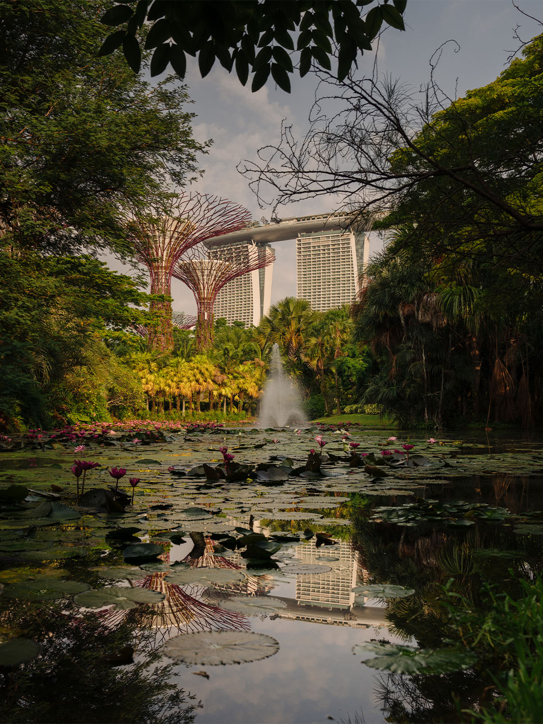 Pemandangan Marina Bay Sands dari Gardens by the Bay
