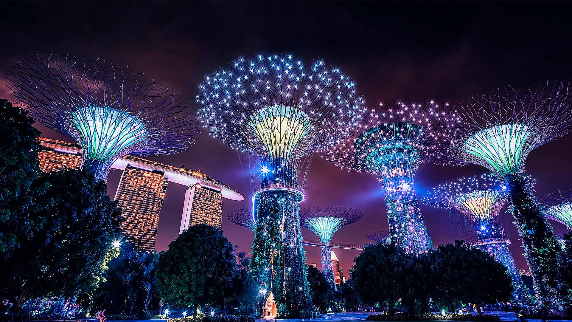 Garden Rhapsody di Supertree Grove
