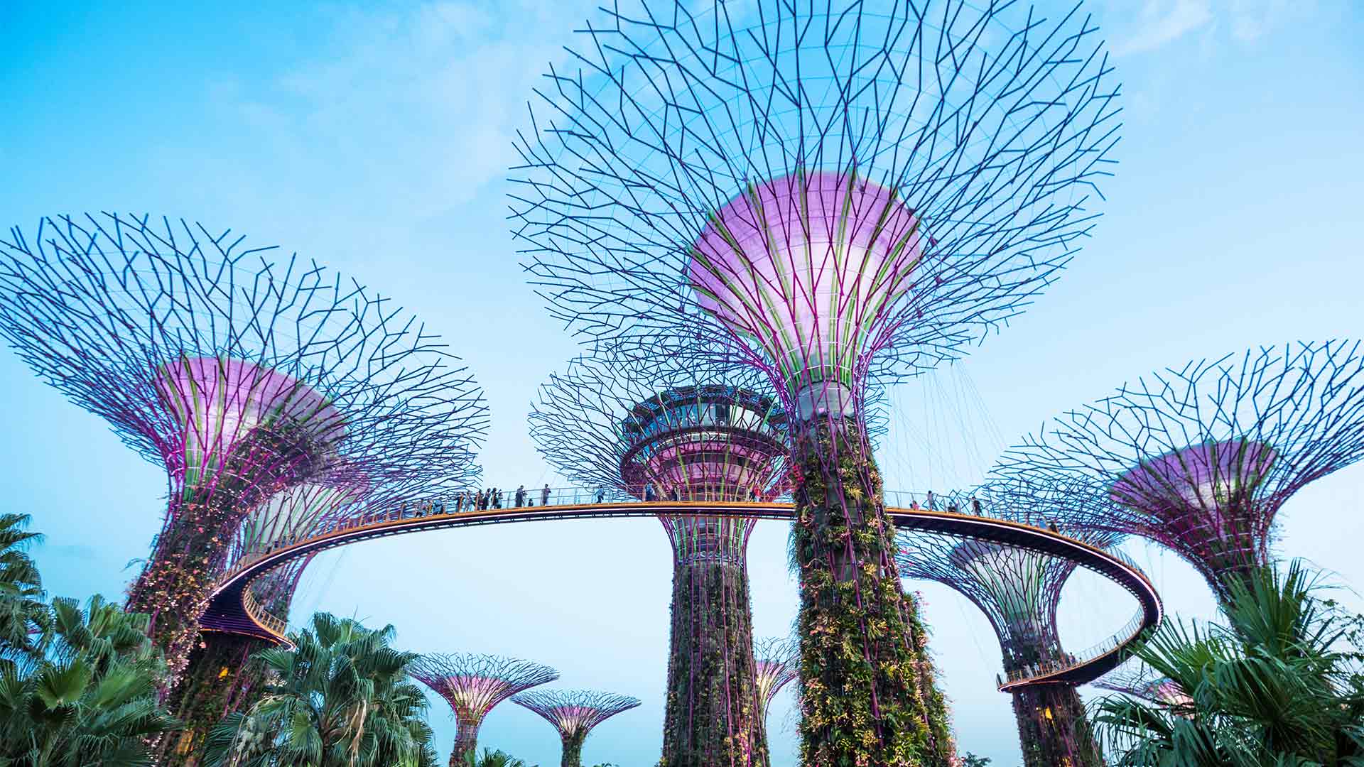 OCBC Skyway di Gardens by the Bay