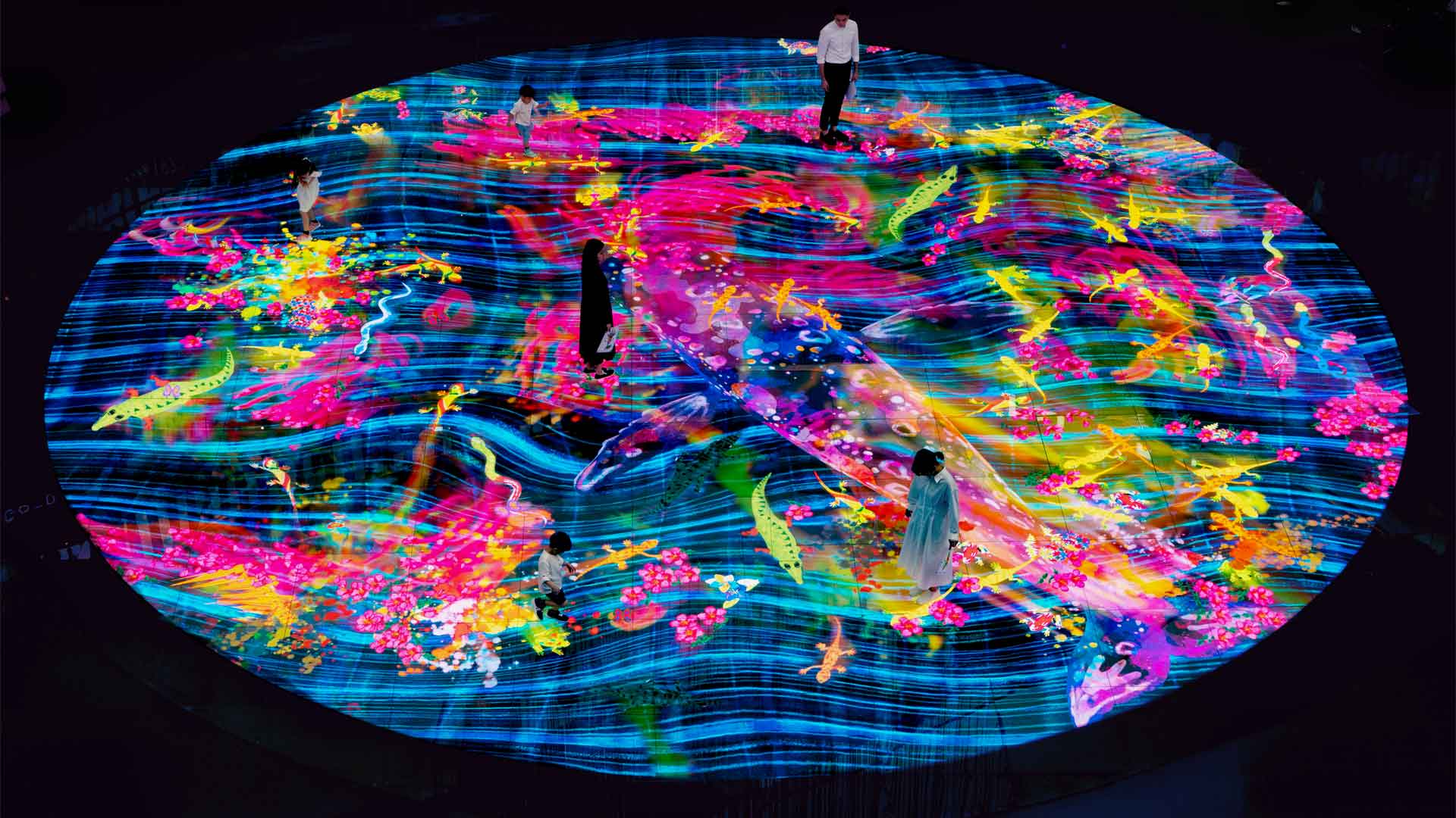 Digital Light Canvas, tujuan wisata dan lokasi berfoto populer di Singapura