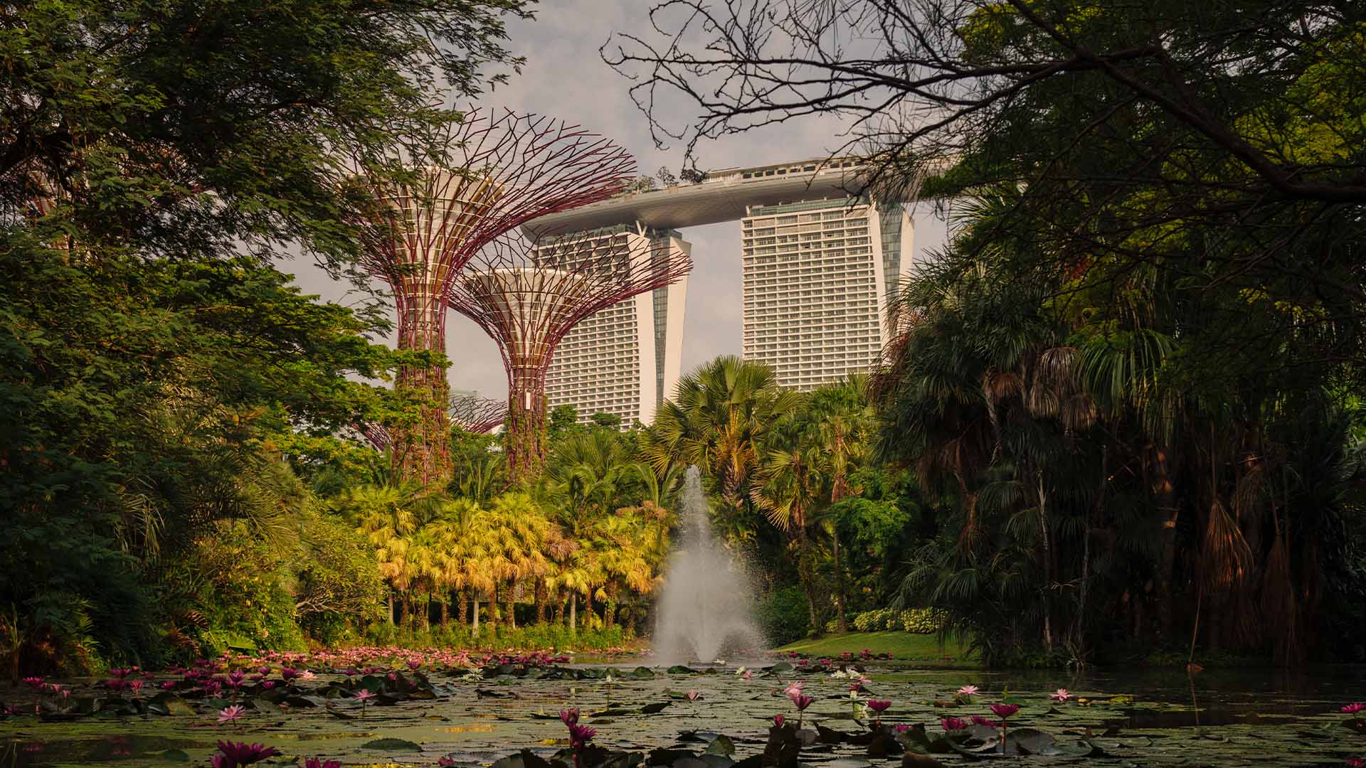 Supertrees dan Flower Dome di Gardens by the Bay, tempat teratas yang layak dipajang di instagram di Singapura