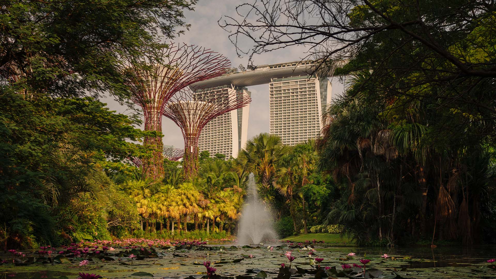 Arsitektur Marina Bay Sands dan Supertrees di Gardens by the Bay, destinasi yang wajib dikunjungi untuk rencana perjalanan Anda di Singapura