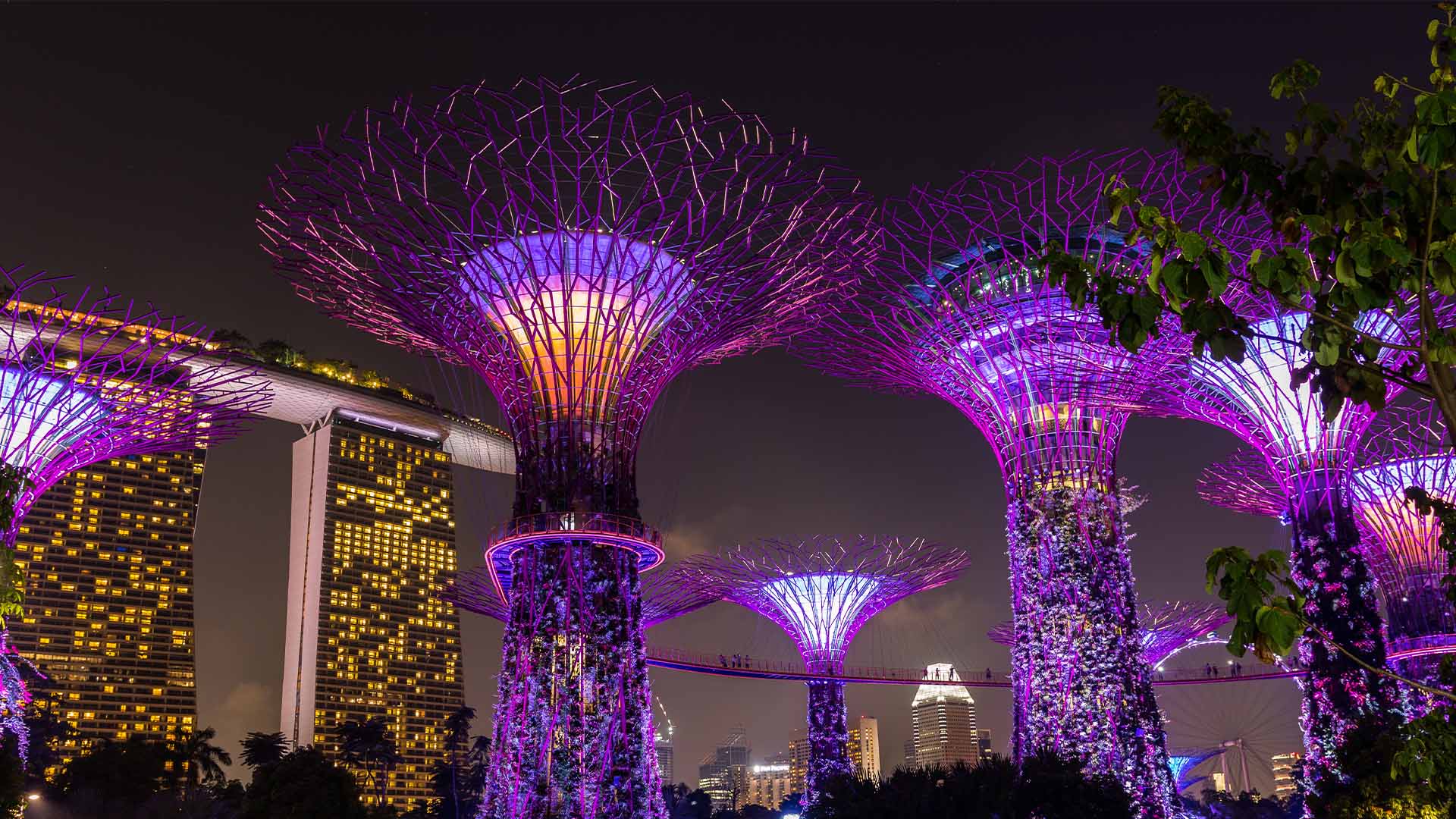 Gardens by the Bay, tujuan wisata untuk dikunjungi di Singapura pada malam hari