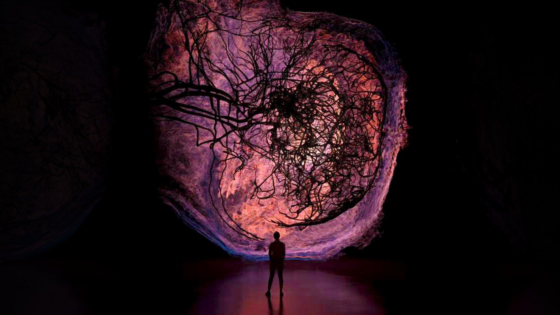 Tampilan galeri pameran Flesh and Bones: The Art of Anatomy di ArtScience Museum, menampilkan berbagai peragaan anatomi