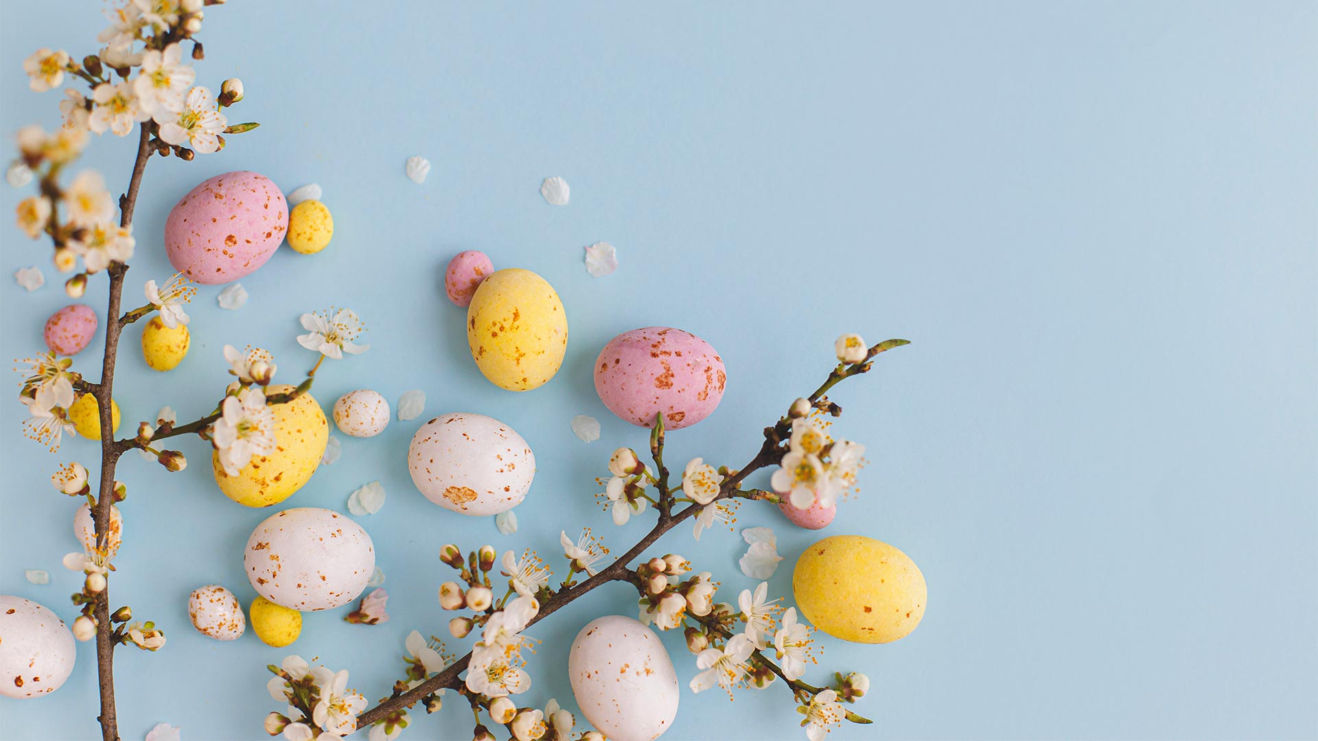 Telur paskah dengan cabang pohon untuk menggambarkan perayaan Paskah