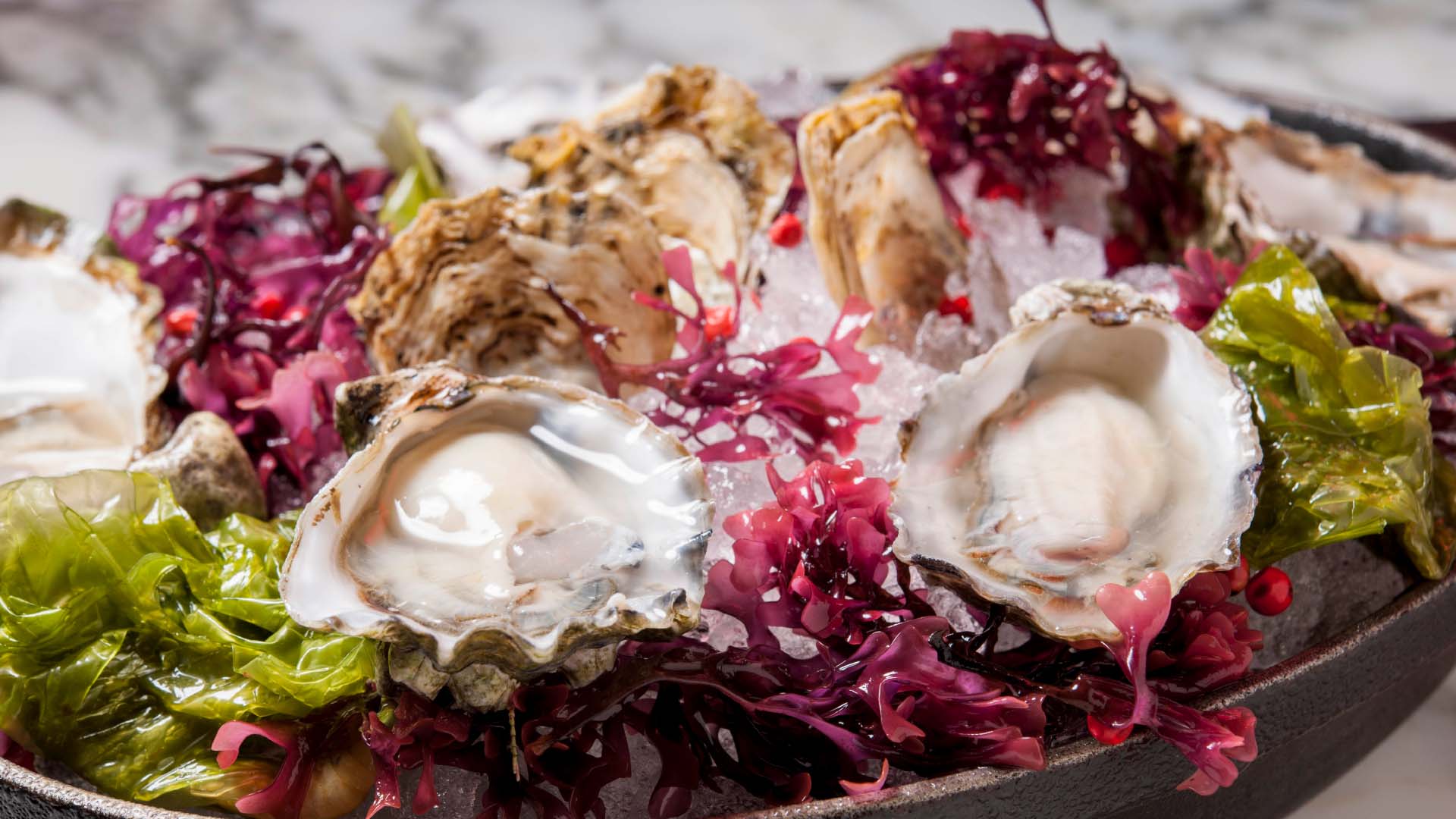 Kumamoto Oysters