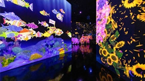 teamLab Future World