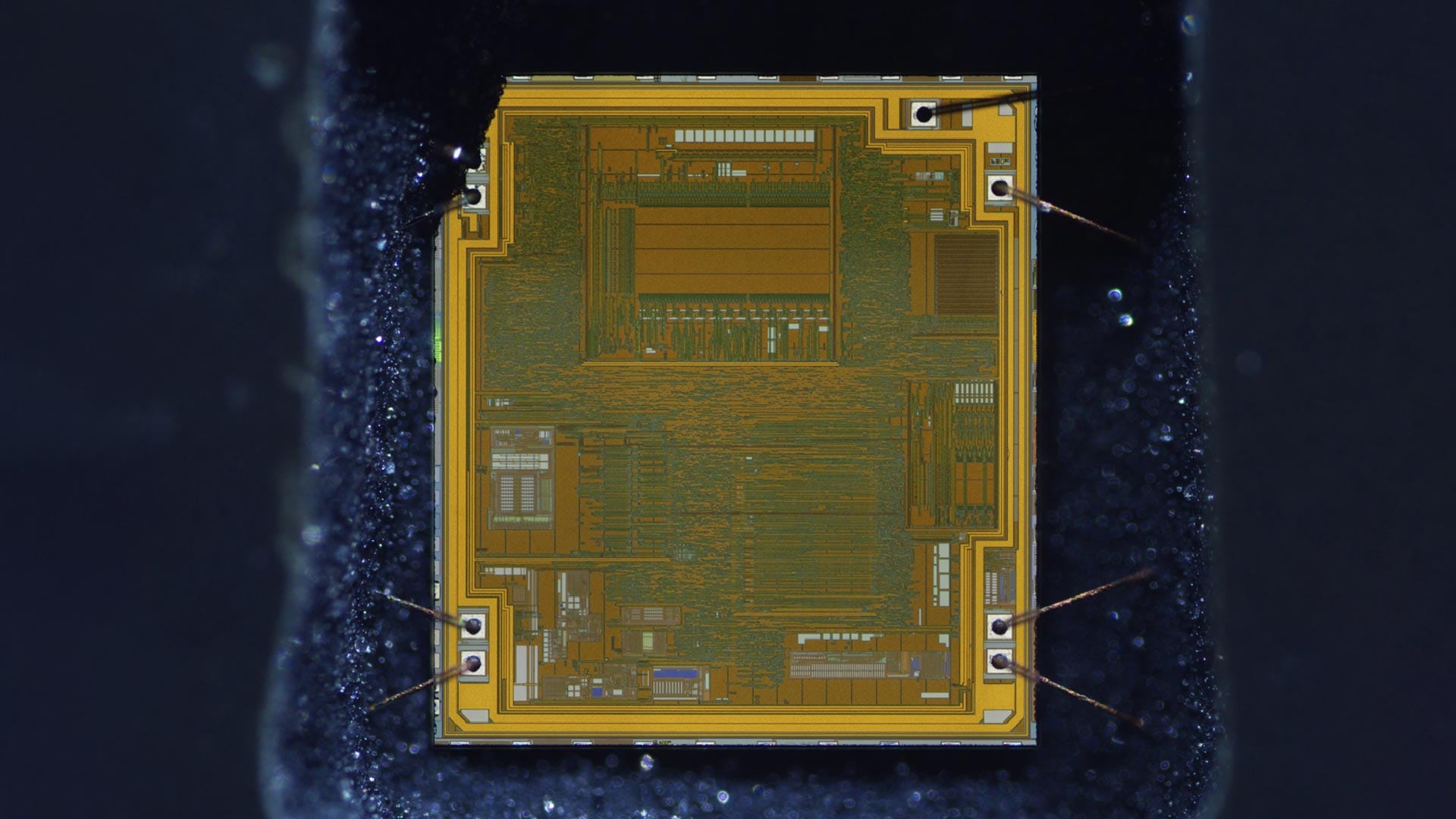 Open Chip Lab, 2026 