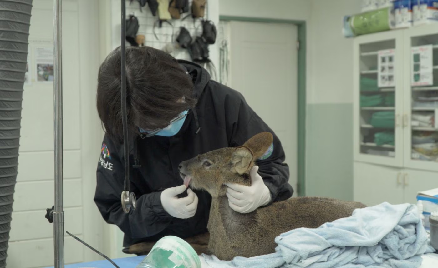 Sanctuary (2022) by Wang Min-cheol | 109min | PG13 (Some Disturbing Scenes) | Korean with English subtitles