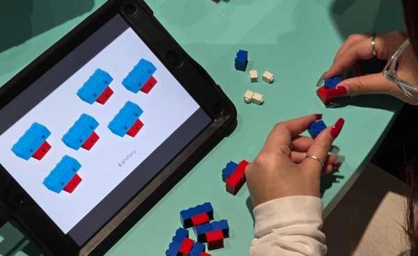Let's Learn Particle Physics with LEGO 