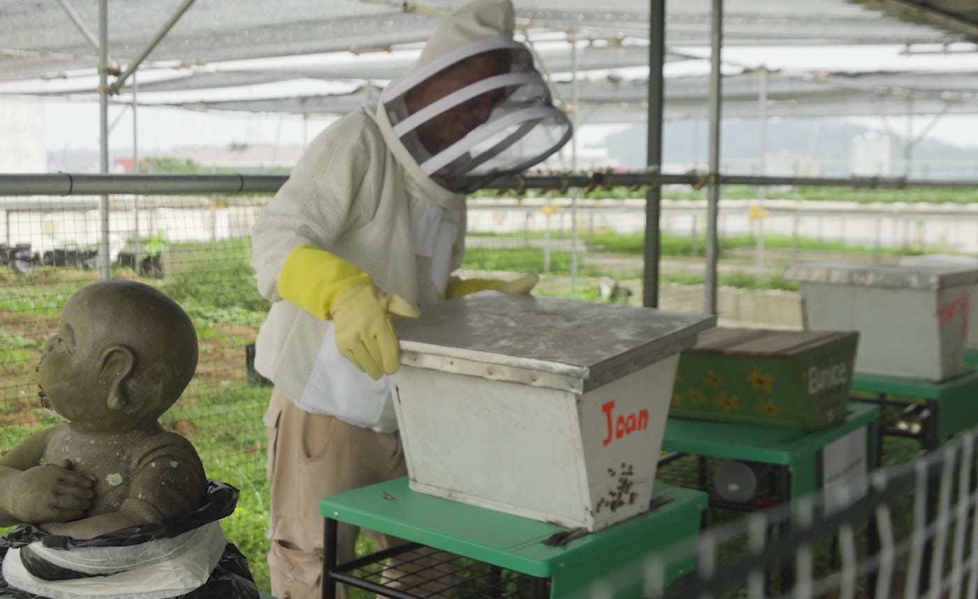 All About Bees and Beekeeping with John Chong