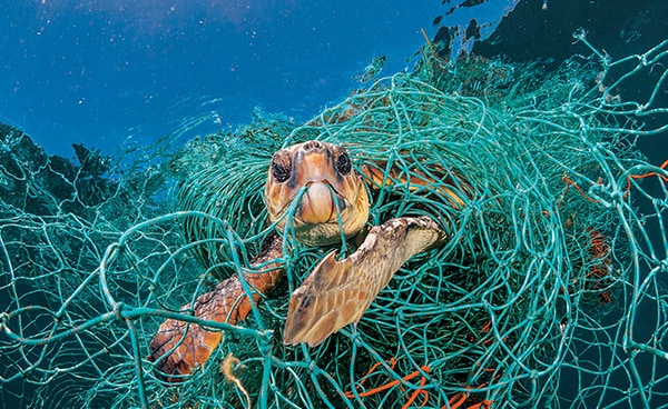 Bagian 2: The Darker Side of Plastics