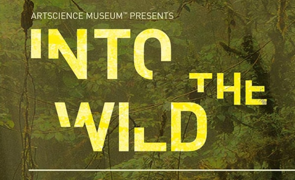 Into the Wild: Petualangan Virtual yang akan Melibatkan Anda