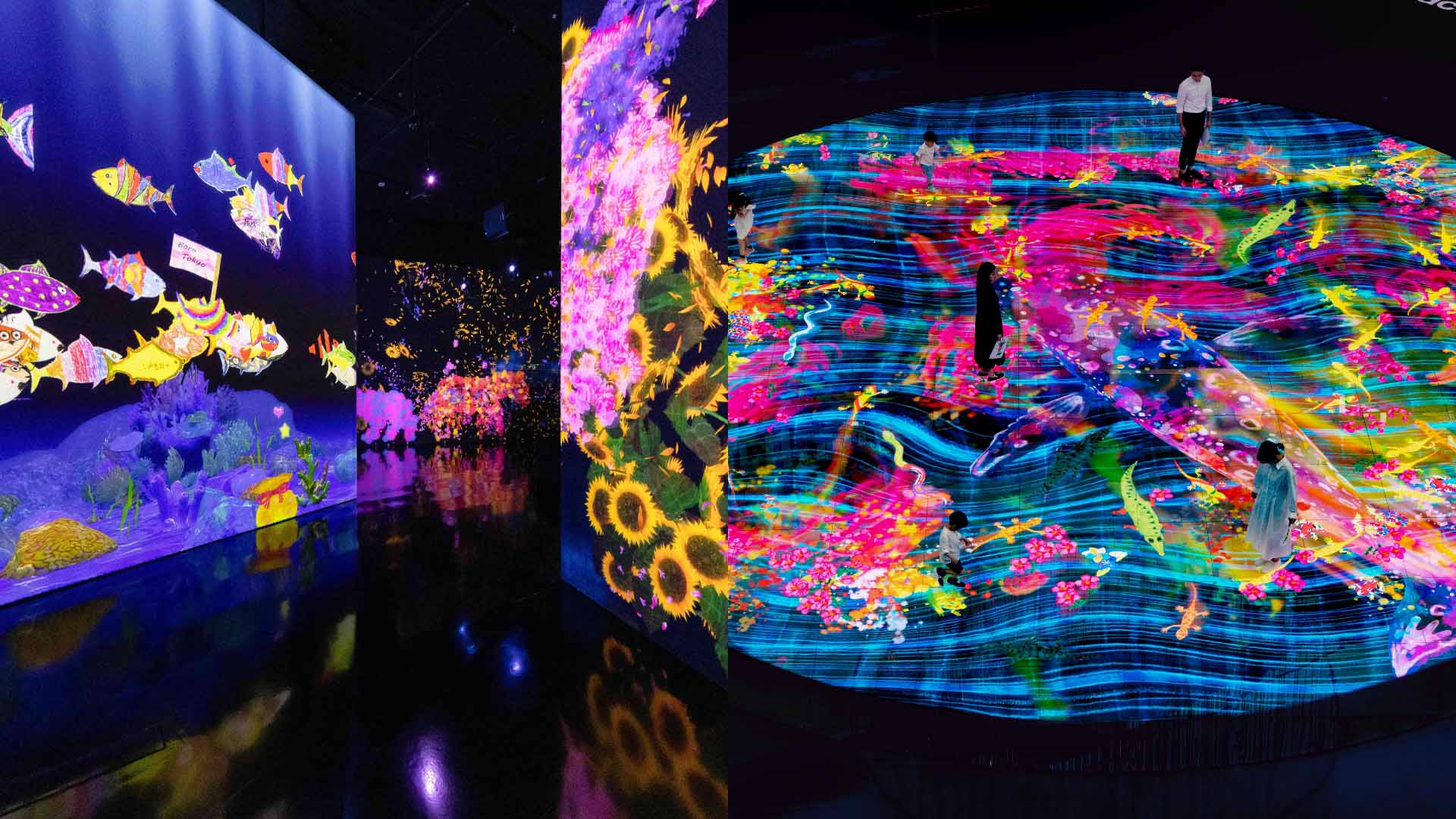 teamLab Future World dan Digital Light Canvas by teamLab