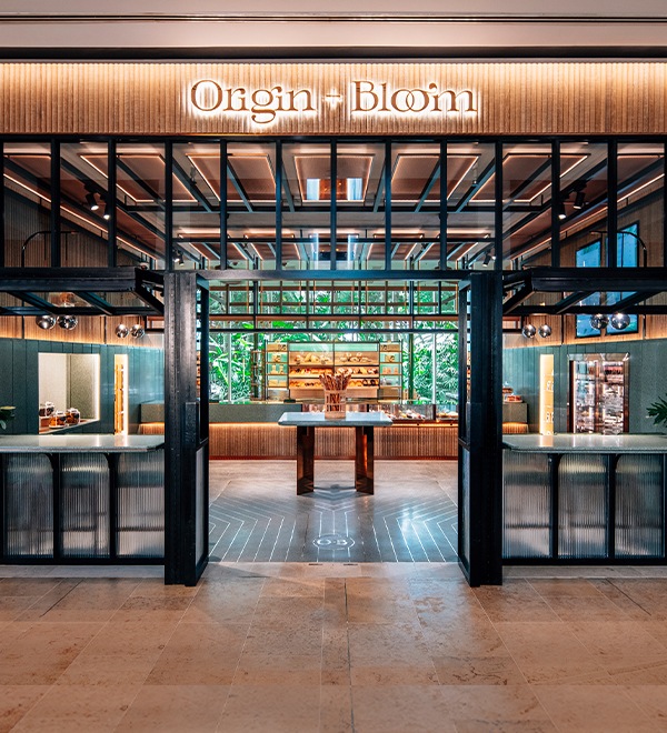 Origin + Bloom
