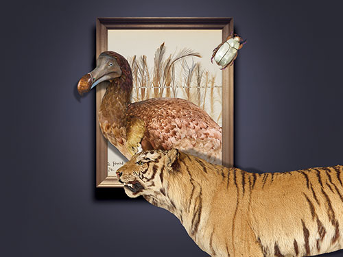 Treasures of the Natural World