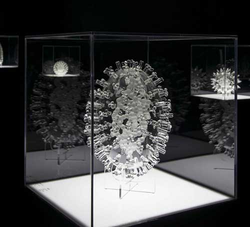 Glass Microbiology Luke Jerram 2014