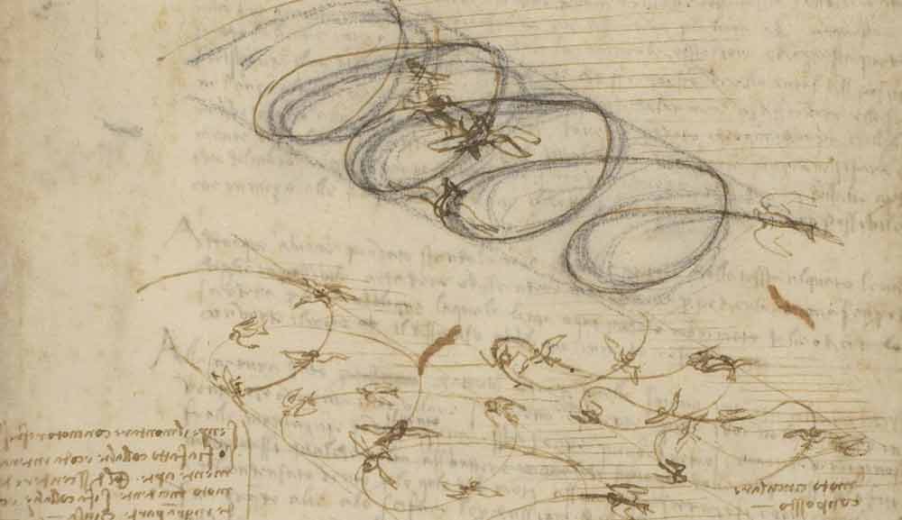 Studi terhadap Burung Terbang tahun 1505 F.845 halaman ganjil dari Leonardo da Vinci