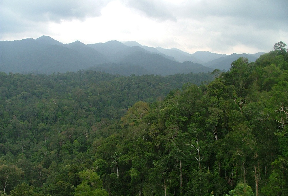 Into The Wild - Ciptakan perubahan di dunia nyata