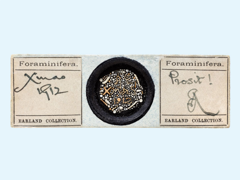 Microfossil Christmas card