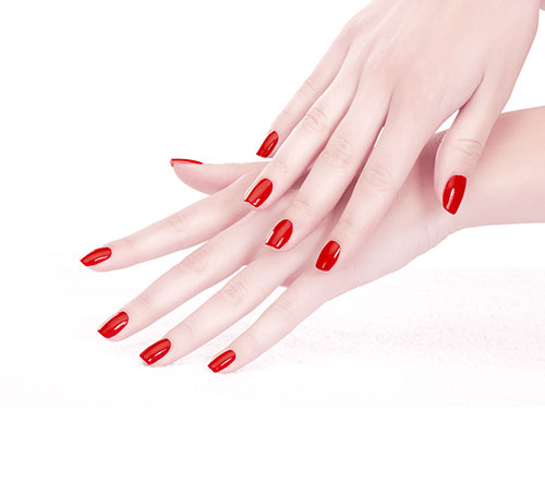 Lacquer & Spa
