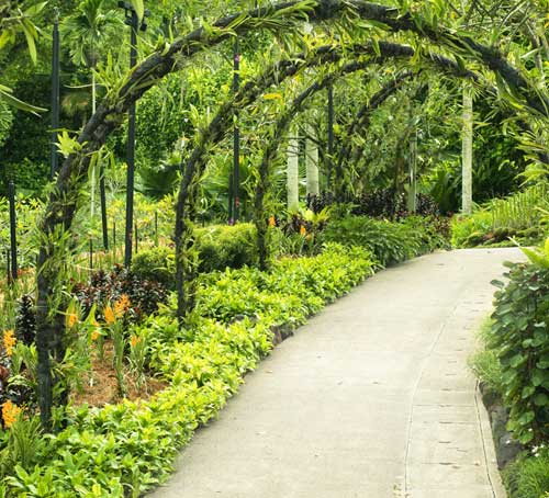 Singapore Botanic Gardens green path through the gardens