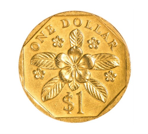 Singapore Coin