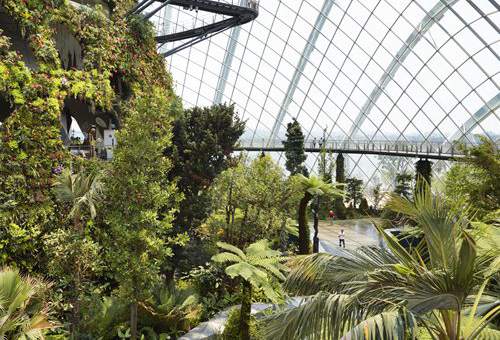 Conservatories in the Gardens by the Bay
