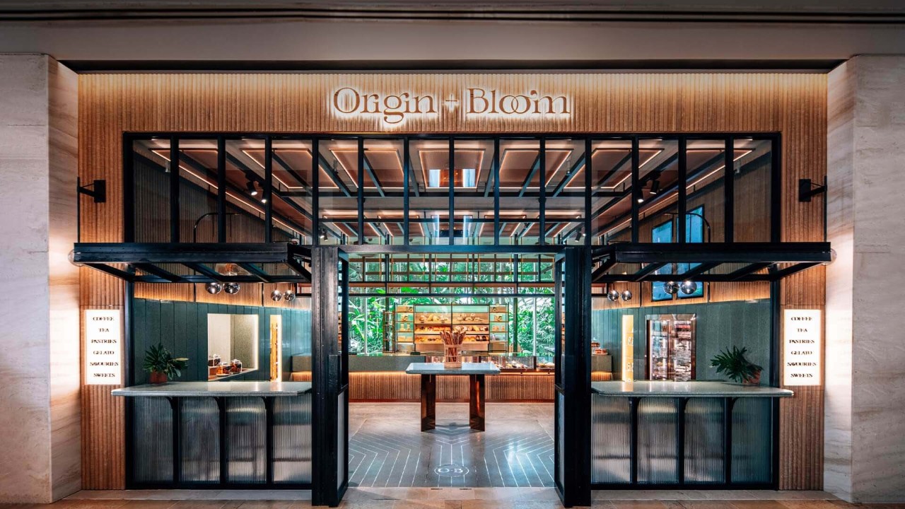Origin + Bloom