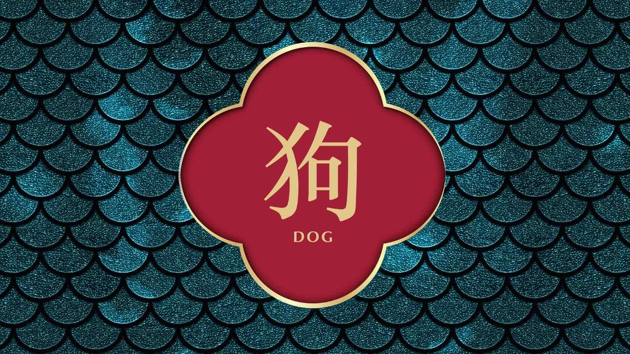 2024 Chinese zodiac forecast for dog
